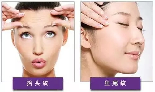 第1010页
