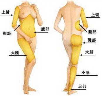 公司简介 第255页