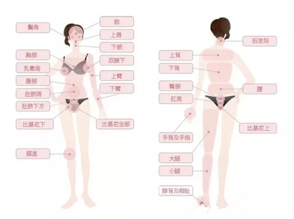 面部激光脱毛价格，全面解析及影响因素探讨