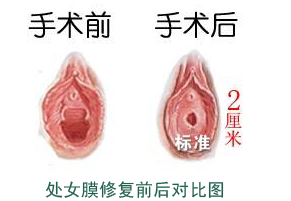 联系我们 第236页