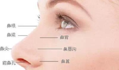 假体隆鼻手术费用详解