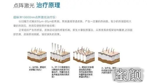 公司新闻 第238页