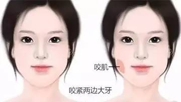 联系我们 第233页