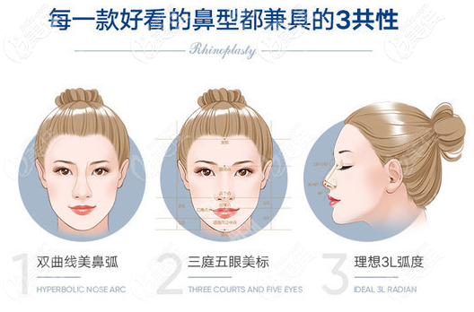 隆鼻手术价格