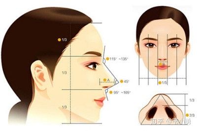 鼻部综合整形价格，深度解析与指导