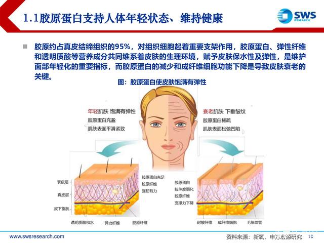 注射胶原蛋白美容，重塑美丽的秘密武器