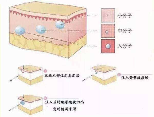 价格与价值考量