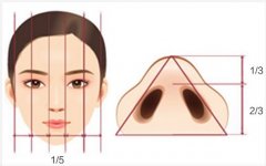 鼻部整形价格