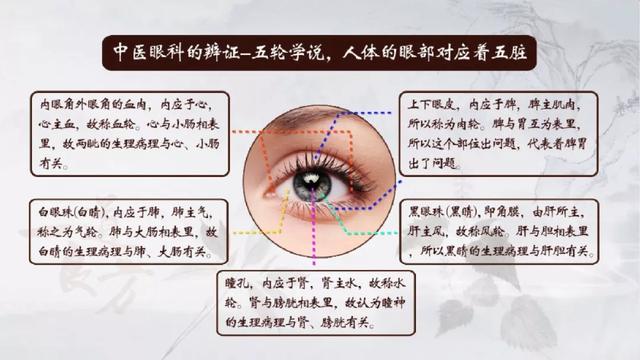 眼部整容费用，深入了解与全面解析