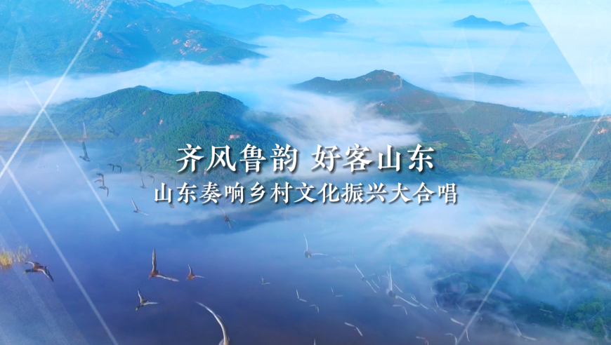齐鲁风采官方，展现山东魅力的独特平台