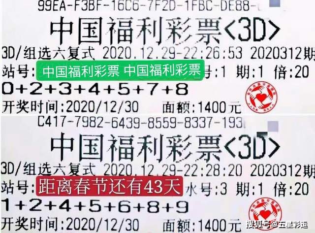 中国体育彩票排列三试机号码，探索背后的神秘与机遇