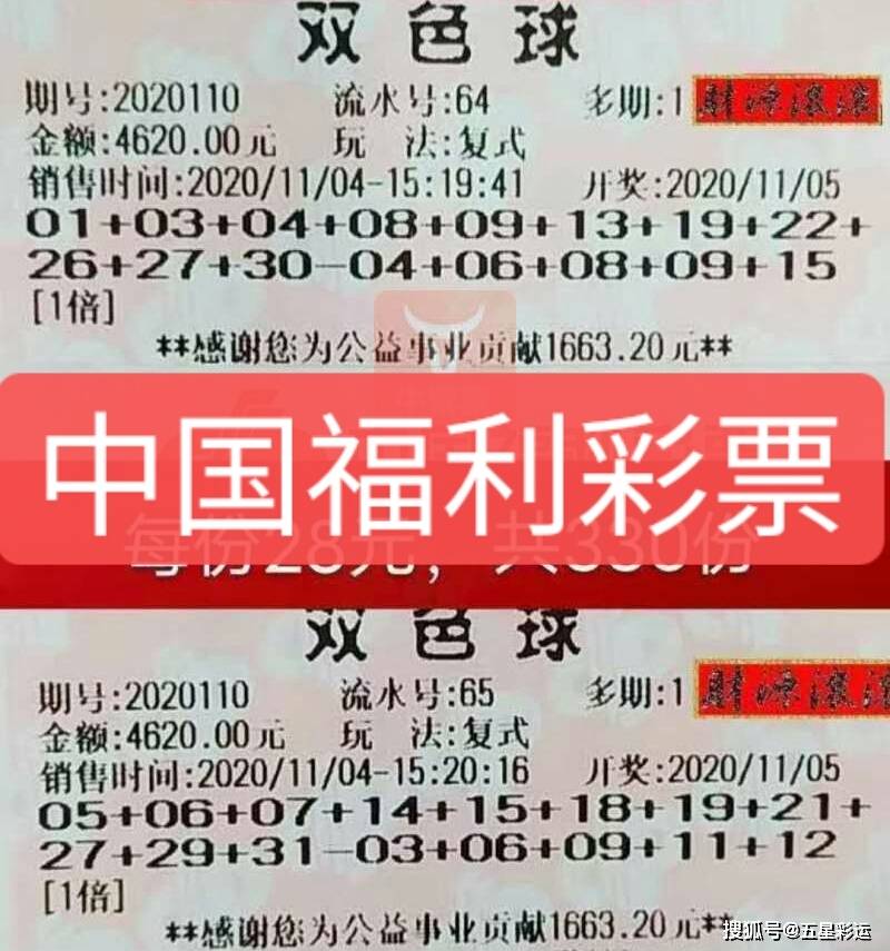双色球360专家杀号汇总，深度分析与策略探讨