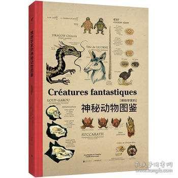 揭秘神秘生物，探索四不像的传奇故事——关键词 626969四不像