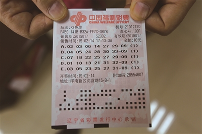 福利彩票双色球复式中奖查询，探索彩票世界的神秘与喜悦