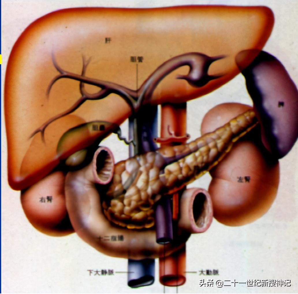 福彩3D专家预测最准确的号码，揭秘彩票预测背后的秘密