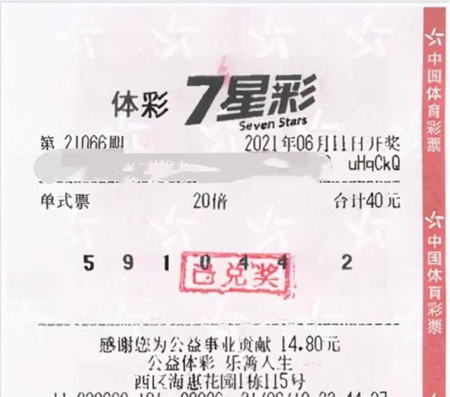 七星彩最新预测号，探索数字世界的奥秘