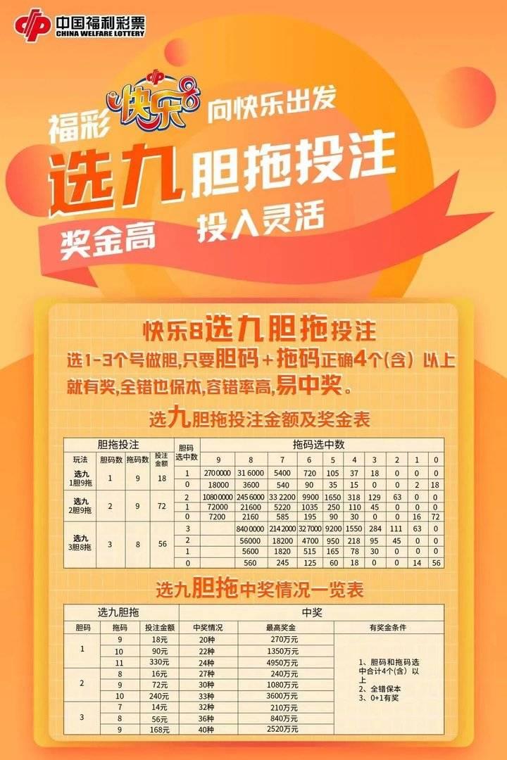 双色球胆拖计算器玩法解析与实战指南