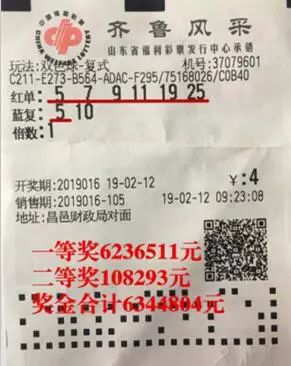 双色球第XXXX期开奖号码揭晓，探索数字背后的幸运故事
