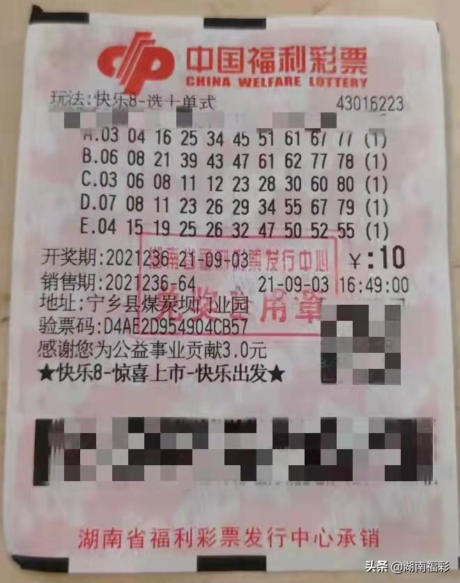 全国彩票开奖结果查询5oo网——便捷、全面的彩票信息服务平台