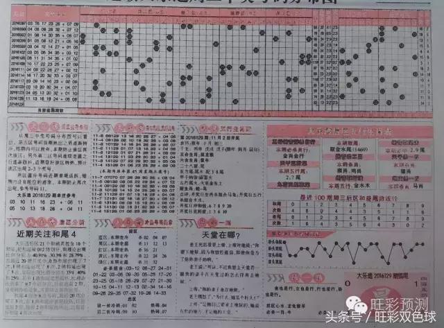 大乐透彩宝贝专家预测——揭秘彩票背后的秘密