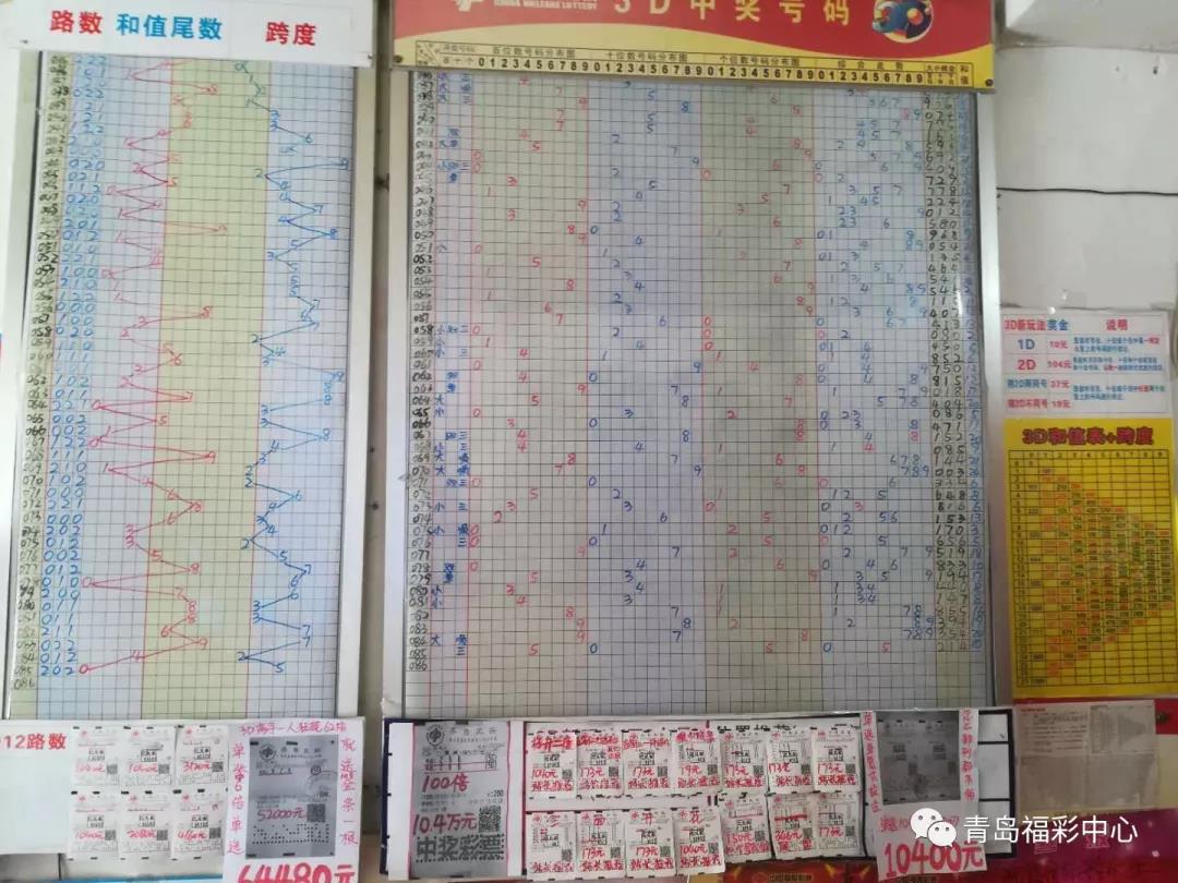 福彩3D基本走势图新浪网专业版，探索彩票世界的预测与策略之道