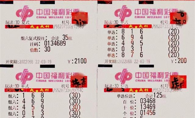 揭秘今日福彩3D图谜，探索图谜中的奥秘与乐趣