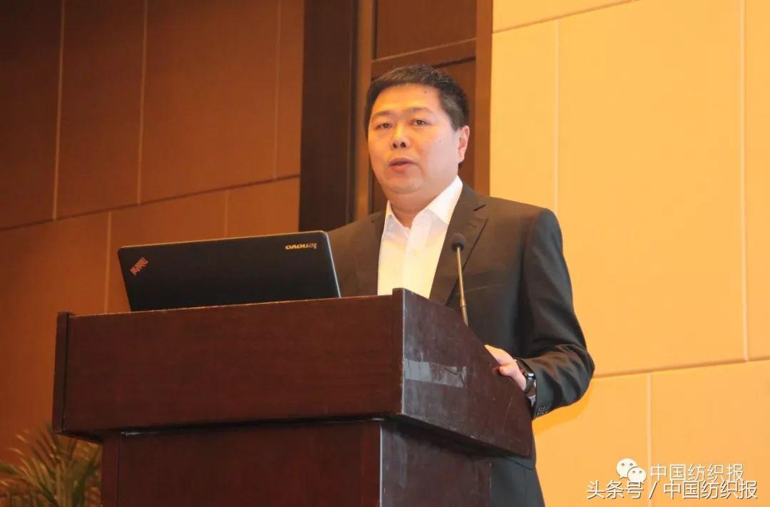 双色球走势图浙江风采网新版，探索彩票世界的魅力与机遇