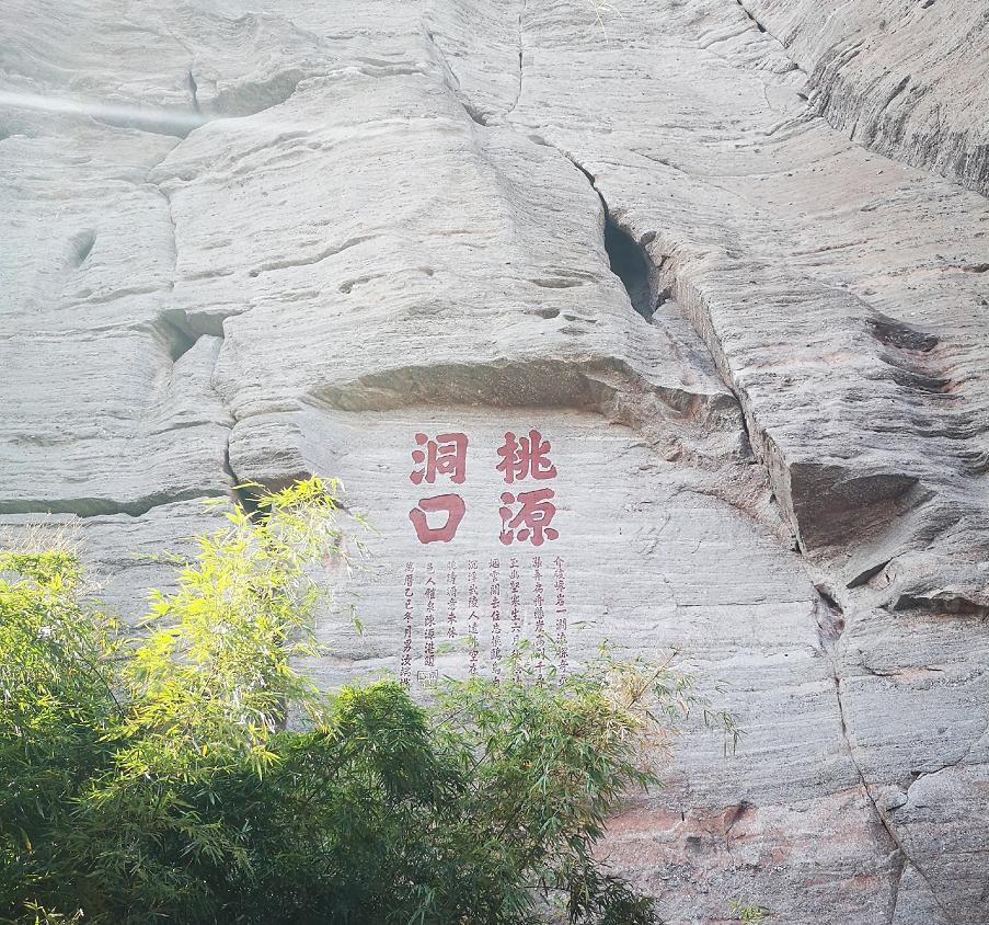 福建体彩36选7新浪，探索数字彩的魅力与新浪平台的力量