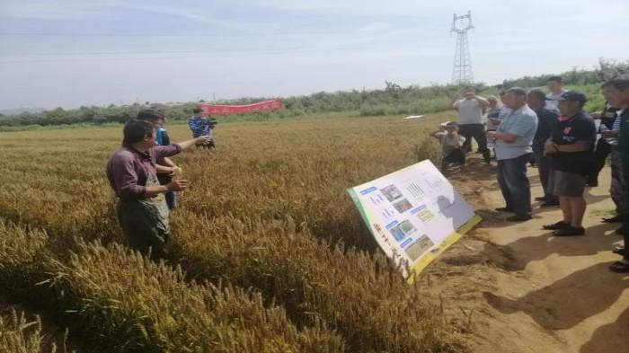 中国农药信息网农药查询，一站式解决方案助力农业安全与健康