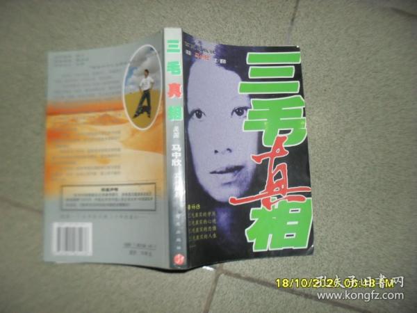 真三毛图谜第二版，探索与解读