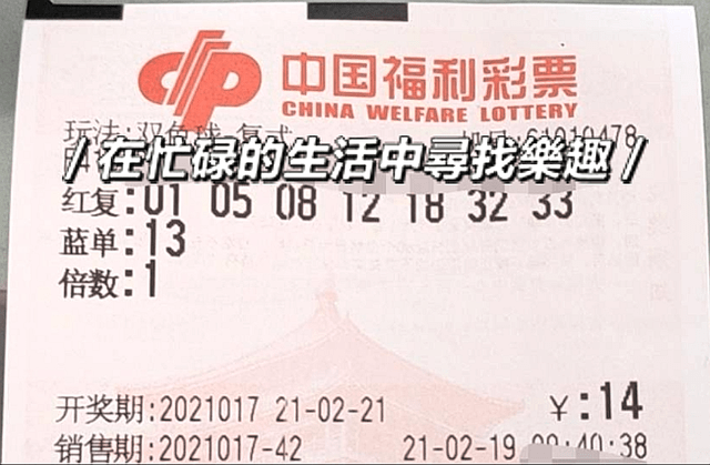 双色球03001期开奖结果揭晓，幸运与梦想的交汇点
