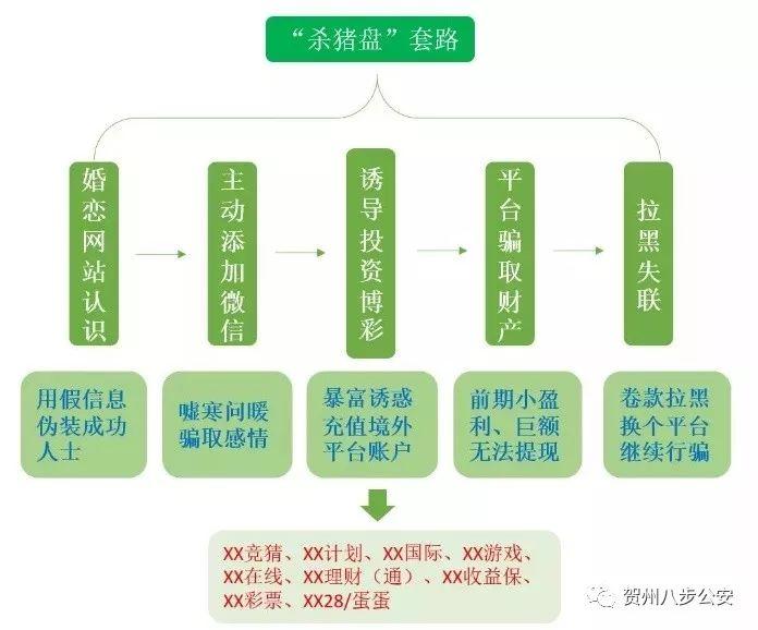 彩客彩票网app下载，探索彩票世界的便捷之道