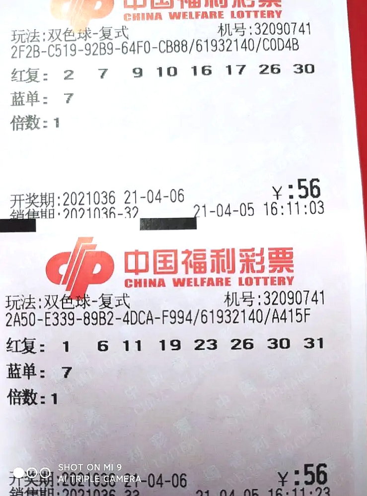 双色球开奖结果，揭晓幸运与梦想交汇的时刻