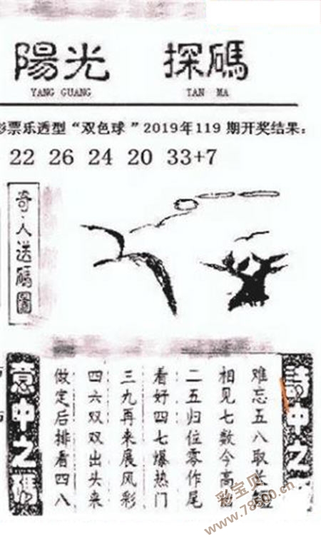 双色球2018055期阳光探码，揭秘彩票背后的秘密与希望之光