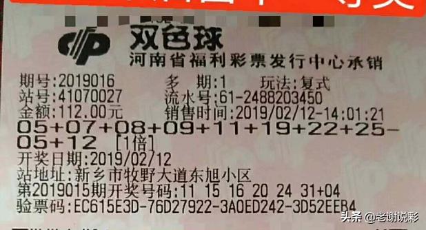 福利彩票双色球第22期中奖号码揭晓，梦想与希望的力量