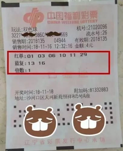 双色球第XXXX年XXXX期开奖结果揭晓，幸运与惊喜交织之夜