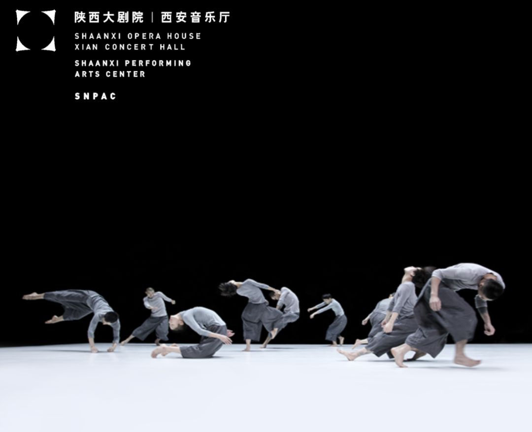公司新闻 第155页