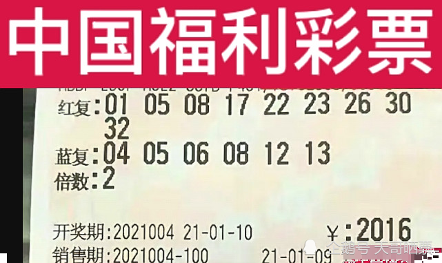 六和合彩开奖结果晚，探索与期待