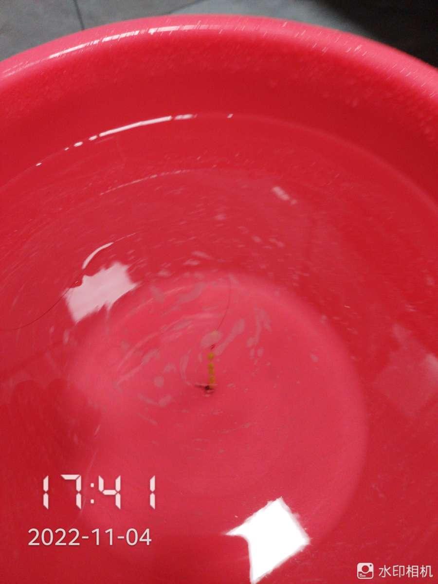 联系我们 第141页