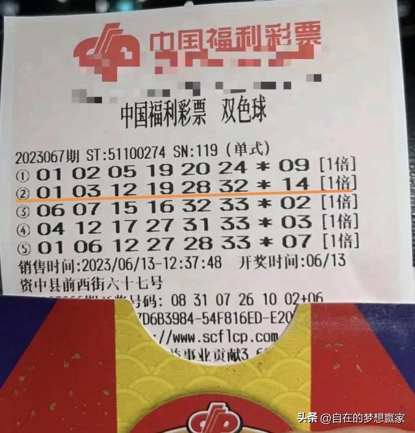 中国彩票双色球app，探索数字彩票的新世界