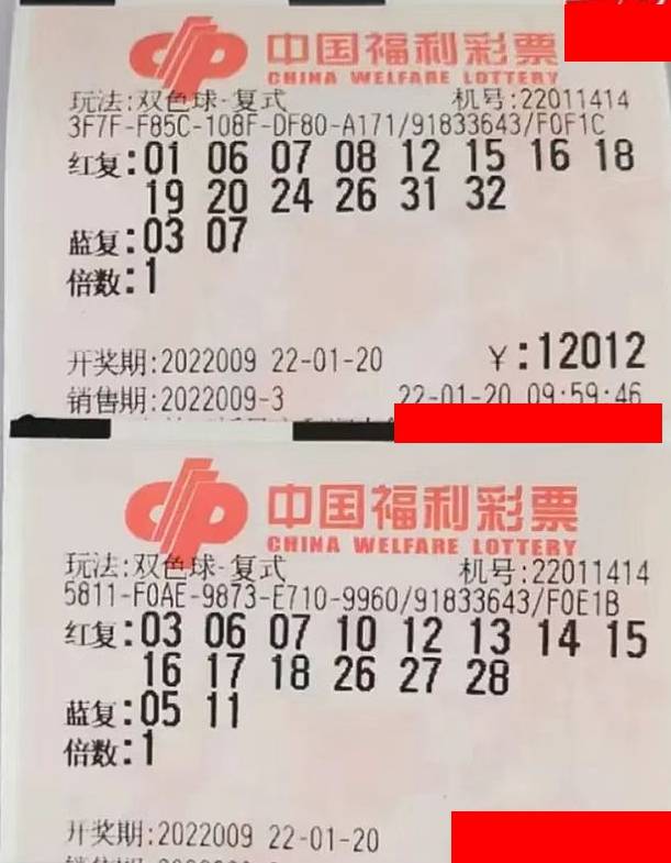 双色球，揭秘2月8日的幸运密码