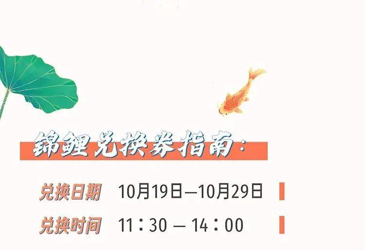 云南快乐10分开奖结果，探寻幸运背后的故事