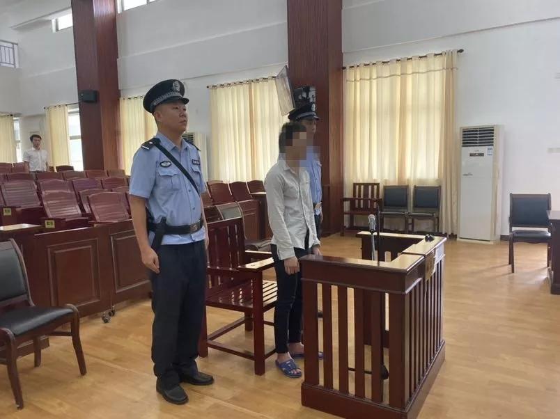 海南体彩app停用，原因、影响与未来展望