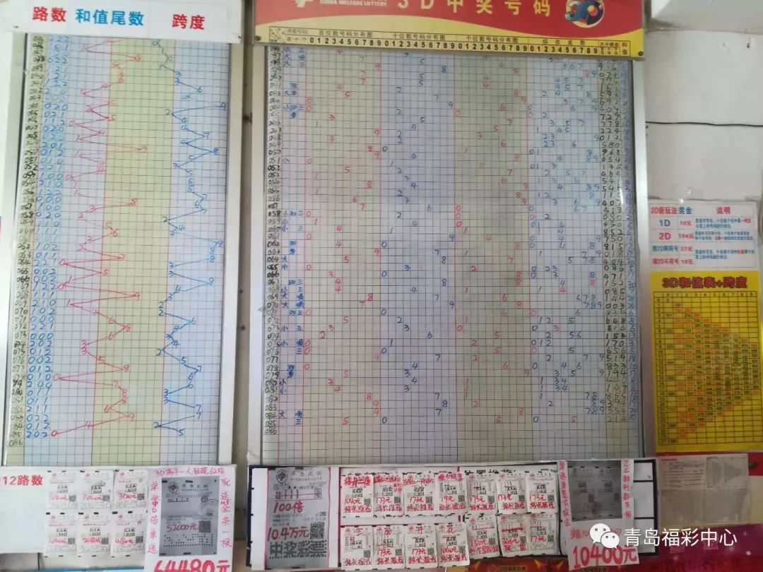福彩3D十位走势图带连线图，探索与解析