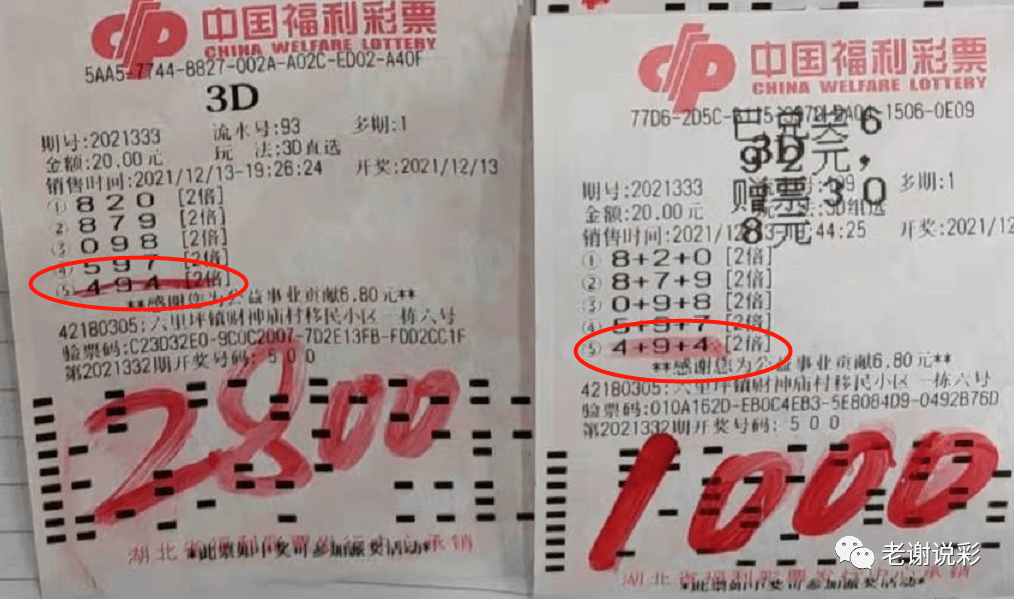 福彩3D试机号与今天开奖号的神秘关联