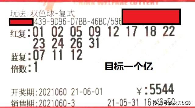 双色球天齐网杀号定胆汇总，策略与技巧解析