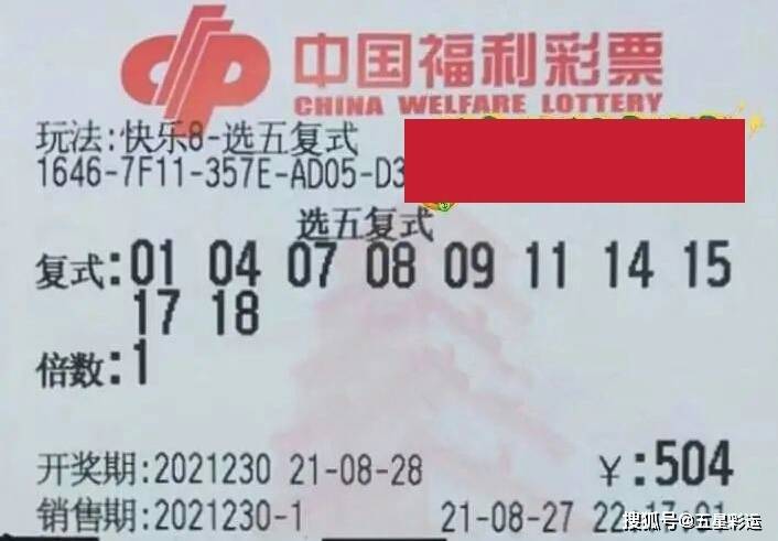 福建省福彩15选5牛彩网，探索与体验彩票的魅力