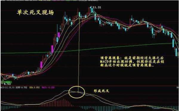 未来趋势预测