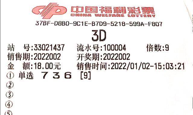 福彩3D中的数字组合与前后关系解析，以数字组合777为例
