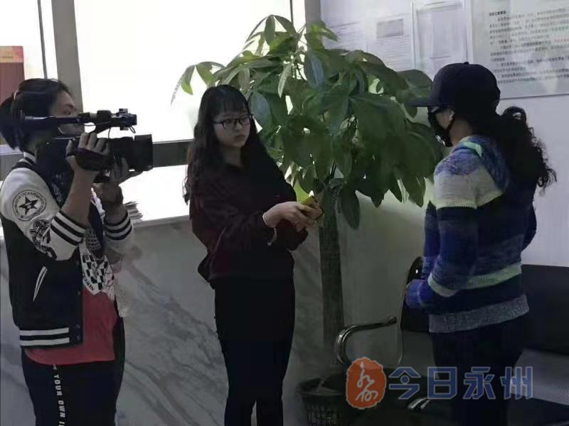 明天双色球预测号码是多少，探索彩票预测的神秘之旅